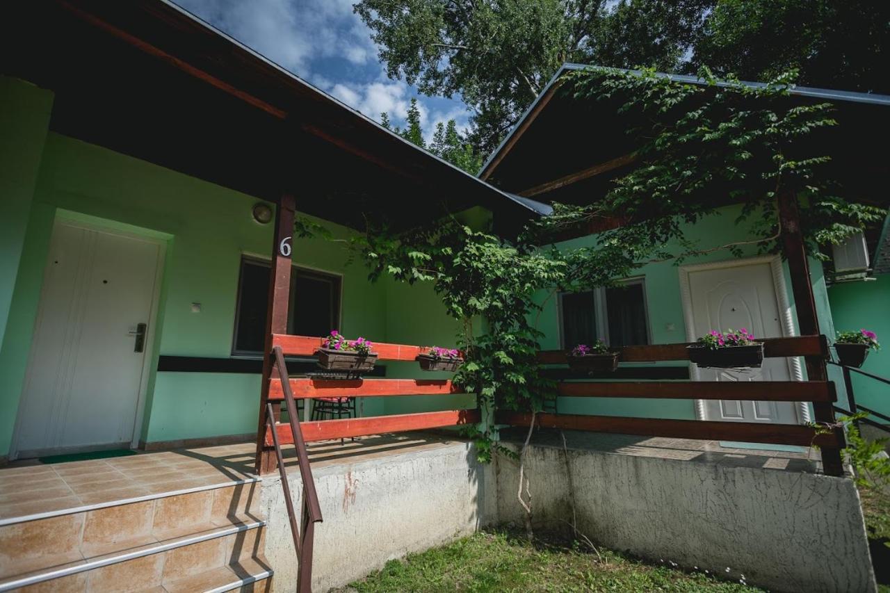 Pool And Villa Splav Dunavac Futog Ngoại thất bức ảnh
