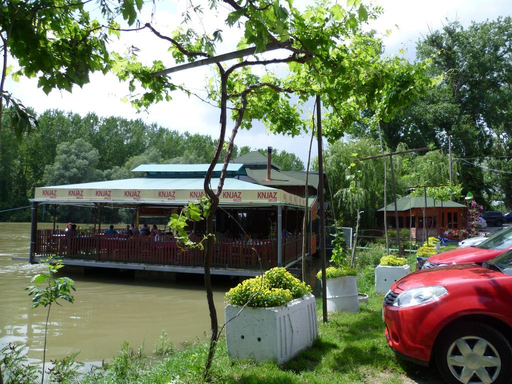 Pool And Villa Splav Dunavac Futog Ngoại thất bức ảnh